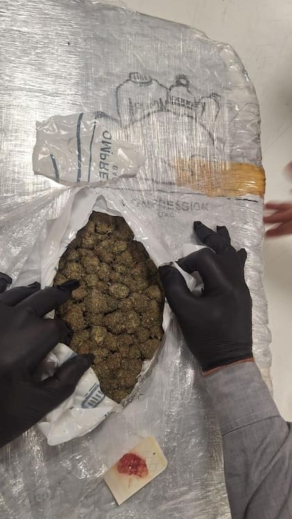 Detalle del interior de uno de los paquetes secuestrados en Ezeiza: cogollos de marihuana ocultos bajo varias capas de embalaje