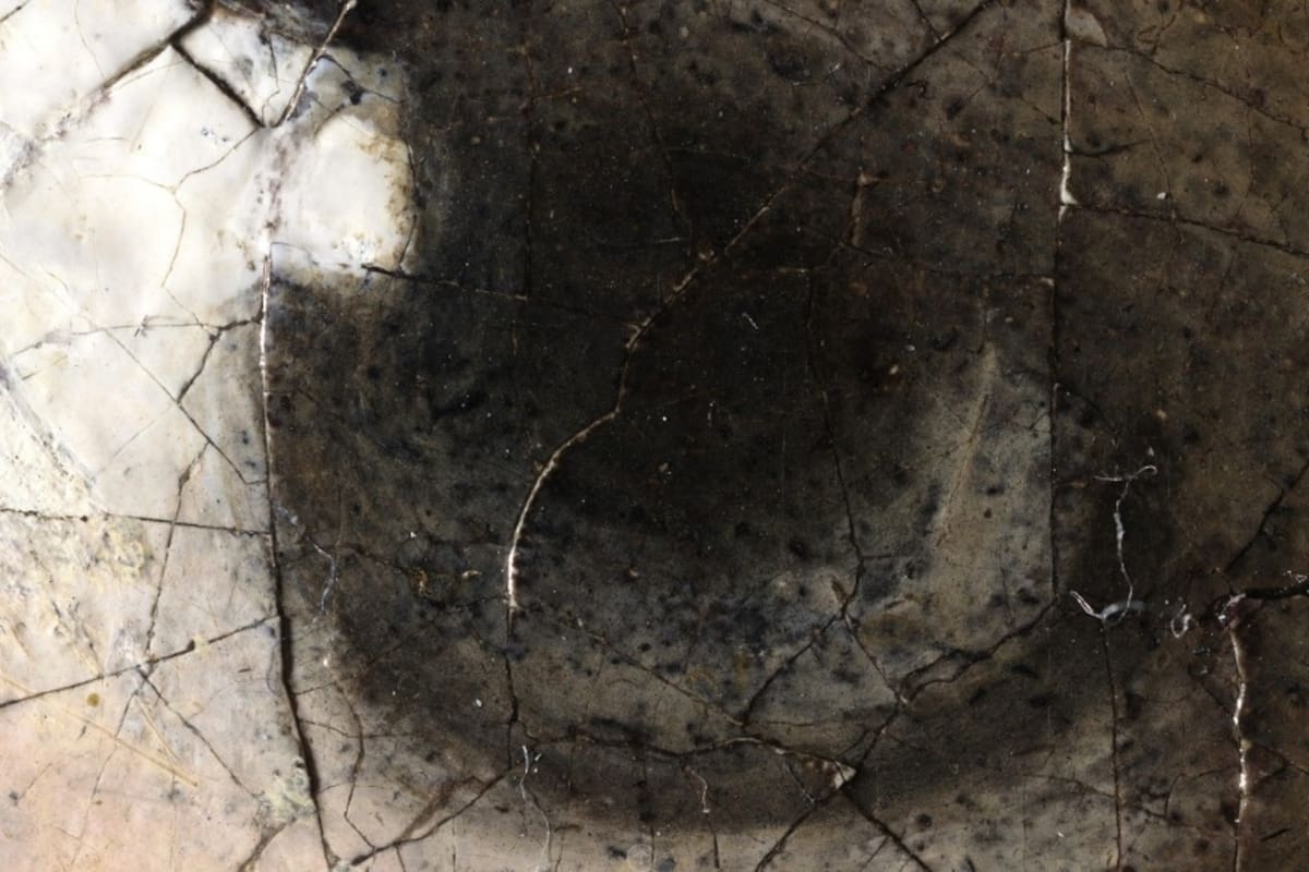 Detalle magnificado con un microscopio 3D del ojo de "La joven de la perla", de Vermeer