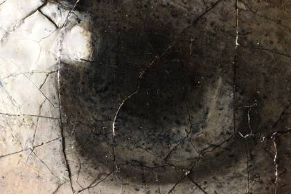 Detalle magnificado con un microscopio 3D del ojo de "La joven de la perla", de Vermeer