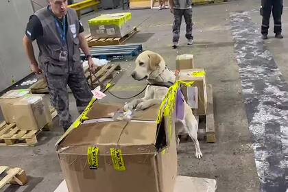 Detección de 17,4 kilos de hachís en una encomienda