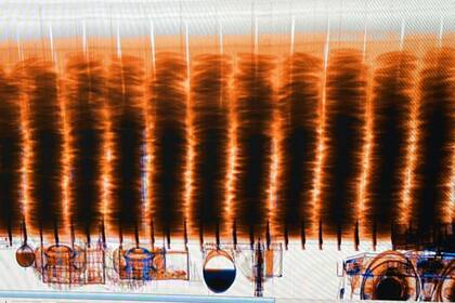 Detectan un millonario cargamento de cigarrillos oculto en un camión que trasladaba salmón de exportación desde Chile