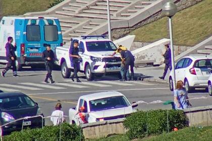 Detienen a 12 “trapitos” por delitos en Mar del Plata