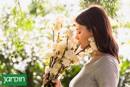 Detrás de cada fragancia legendaria hay una flor o planta que la inspira