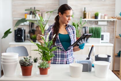 Detrás de cada sensor hay una app dispuesta a identificar problemas y necesidades de las plantas