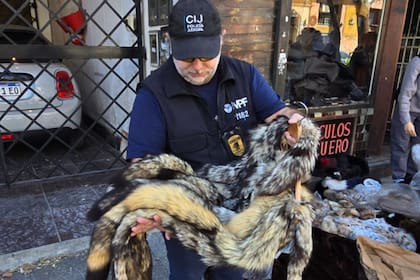 Detuvieron a un hombre que vendía indumentaria confeccionada con pieles de animales en peligro de extinción