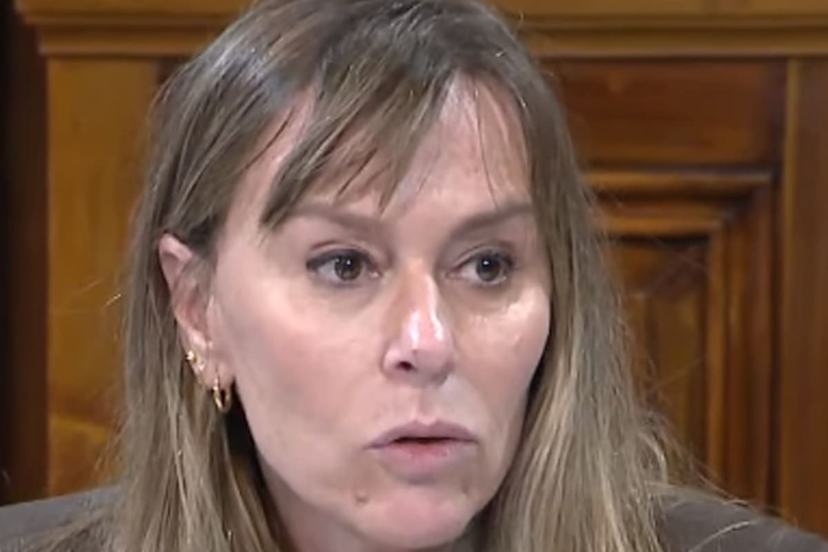 Di Tullio sostuvo: “Defiendo al Poder Legislativo, su función, su representación, sus miembros y su remuneración porque hace muchos años que la política dejó de ser potestad de las élites”