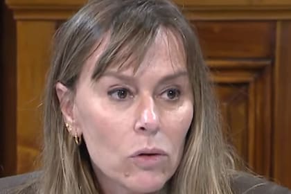 Di Tullio sostuvo: “Defiendo al Poder Legislativo, su función, su representación, sus miembros y su remuneración porque hace muchos años que la política dejó de ser potestad de las élites”