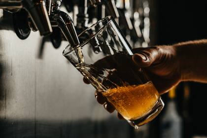 Día de la cerveza: cuál es la mejor según el chat GPT