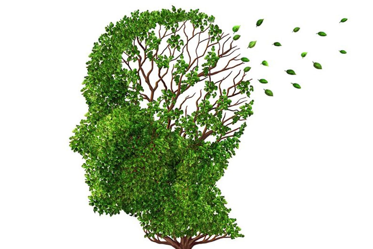 Día de la Salud Mental: el 10 de octubre de 1995 la Federación Mundial de Salud Mental junto con la OMS establecieron esta fecha para concientizar acerca de los problemas vinculados con la salud del cerebro a nivel global