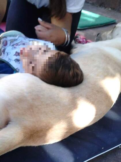 Día de perros en el Hospital Sbarra