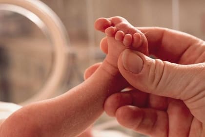 Día internacional del bebé prematuro: las muertes por prematurez son prevenibles