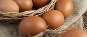 Día Mundial del Huevo: mitos y verdades del superalimento