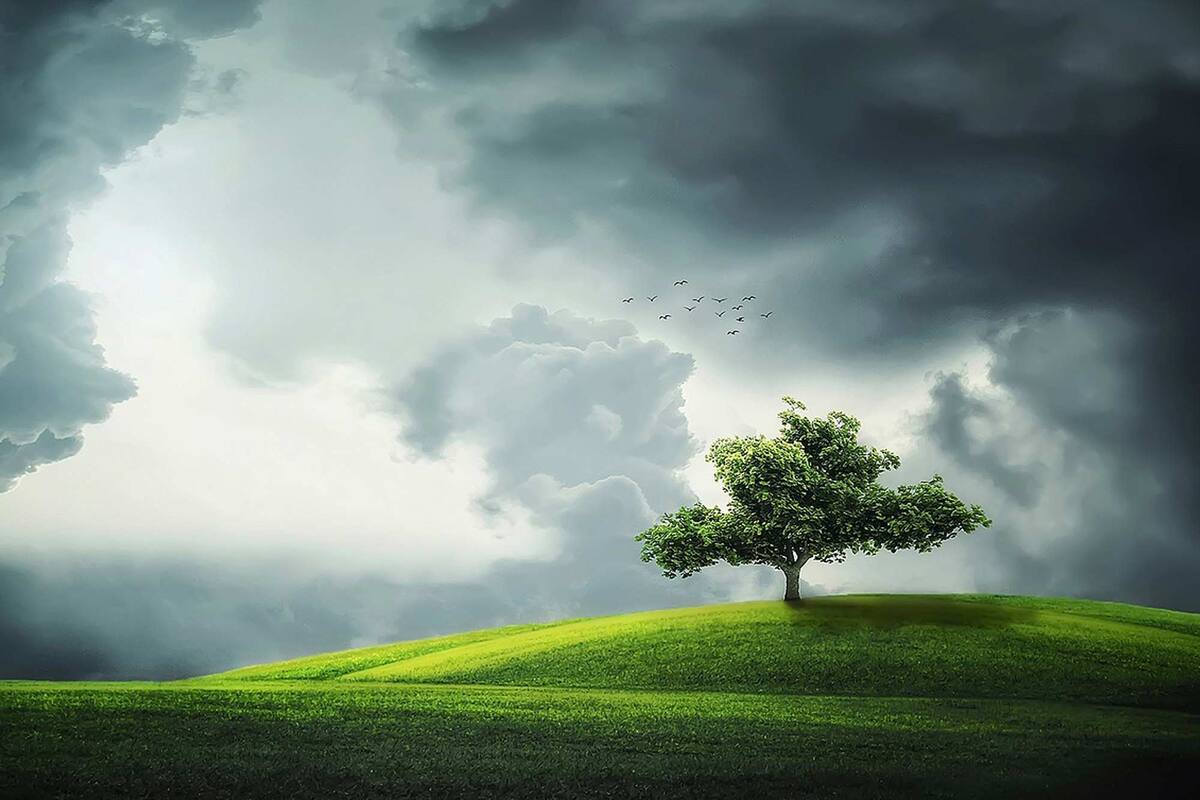 Día Mundial del medio ambiente, 5 de junio