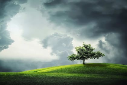 Día Mundial del medio ambiente, 5 de junio