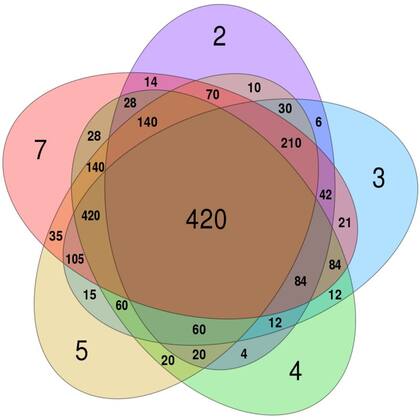 Diagrama de Venn de cinco conjuntos radialmente simétrico ideado por Branko Gruenbaum y representado por CMG Lee para mostrar los múltiplos comunes más bajos de 2, 3, 4, 5 y 7 (FOTO: CMGLEE)
