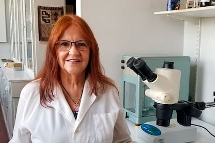 Diana Jerusalinsky, investigadora del Conicet y codirectora del estudio sobre Alzheimer en el Instituto de Biología Celular y Neurociencia Eduardo de Robertis