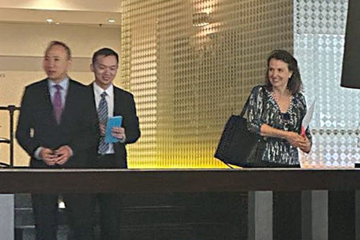 Diana Mondino después de reunirse con el embajador chino, antes de la asunción de Milei como presidente