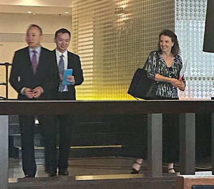 Diana Mondino después de reunirse con el embajador chino
