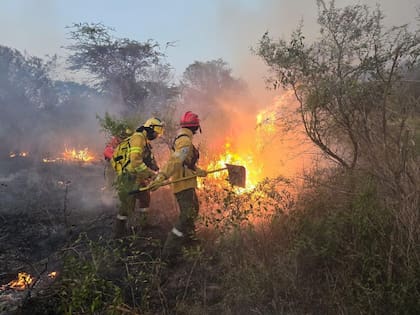 Días atrás, fue Martín Rapetti, coordinador de la Comisión de Carnes de Confederaciones Rurales Argentinas (CRA) y productor curuzucuateño que había denunciado la intencionalidad de los incendos que “siempre eran a la siesta y que comienzan en los lugares donde hay caminos vecinales o rutas”