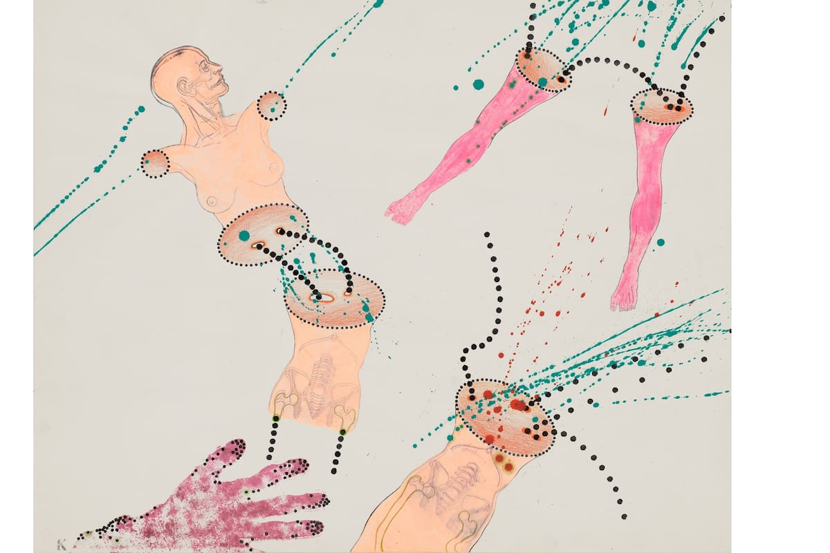 Dibujos de Kiki Kogelnik