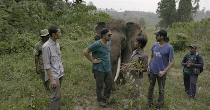 DiCaprio en su elemento: el cuidado del medio ambiente. Así se lo verá este domingo en un documental