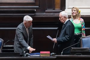 Dichiara, al prestar juramento ante Naldo Brunelli como presidente de la Cámara de Diputados bonaerense