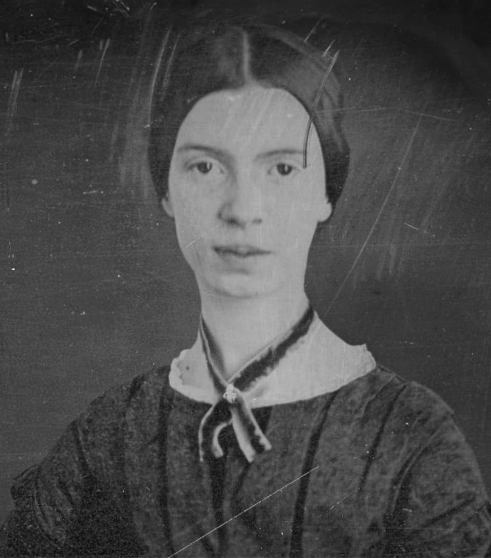 El herbario de Emily Dickinson, disponible 180 años después de su creación