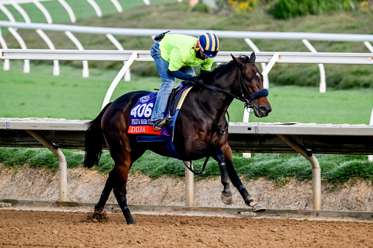 Didia, entrenada por Ignacio Correas, hará su segunda participación en la Breeders' Cup Filly & Mare Turf, el sábado en Del Mar; la yegua es uno de los cuatro representantes argentinos en el festival norteamericano