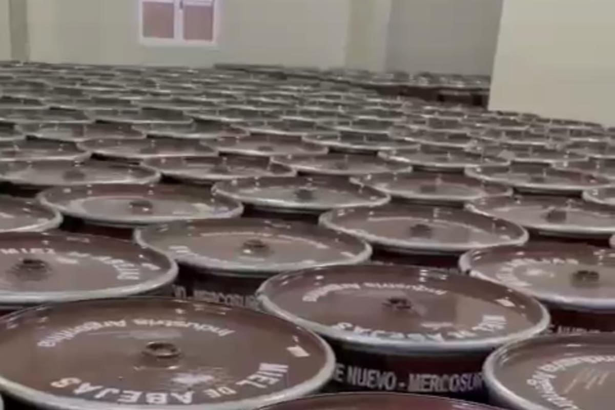 Diego Bessone optó por no vender la producción de miel de la temporada 2022/2023 porque le ofrecían un precio inferior al del año anterior