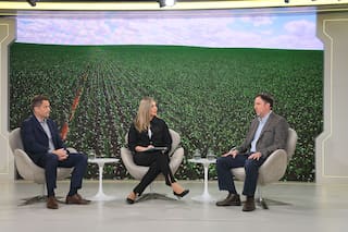 En Banco Provincia ven una oportunidad para crecer en el financiamiento agroindustrial para inversiones
