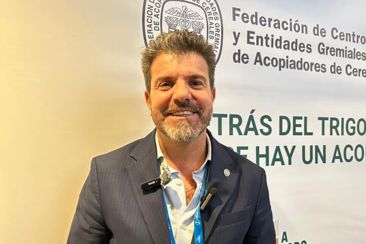 Diego Cifarelli, presidente de FAIM