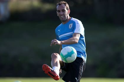 Diego Godín, un jugador imprescindible para la estrategia de Tabárez