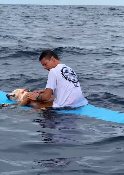 Diego Jiménez llevó a Thai hasta el mar para despedirlo después de 16 años juntos (Captura: Instagram @2infish)