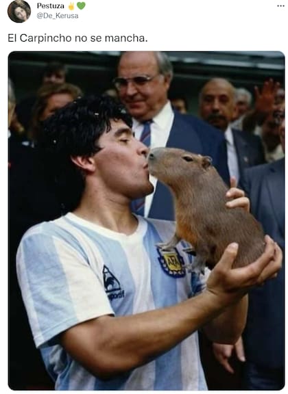 Diego Maradona besa a un carpincho en un montaje viralizado en redes sociales. Fuente: Twitter.