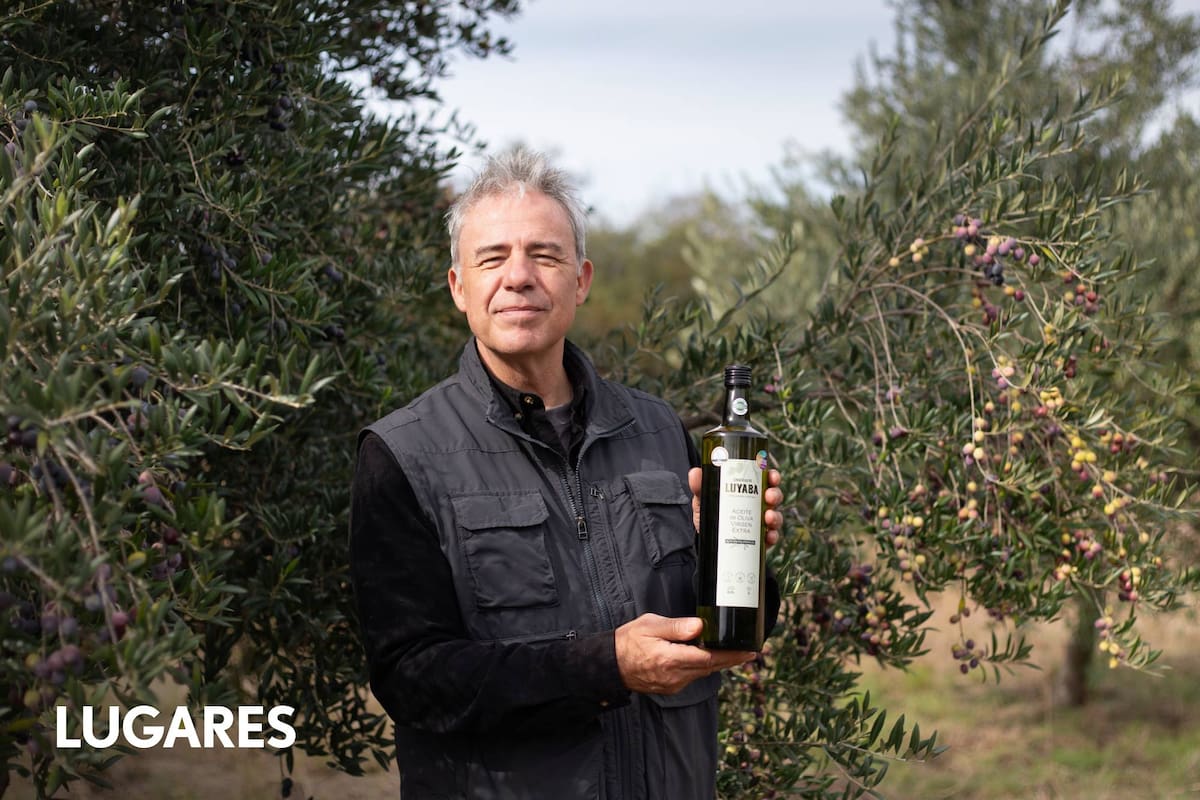 Diego Niembro recuperó un antiguo olivar y lo transformó en un proyecto familiar dedicado al aceite de oliva premium.