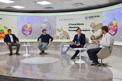 Diego Peña (McCain), Mariano Bosch (Adecoagro), José Del Rio (LA NACION) y Agustín Benito (Sueño Verde).