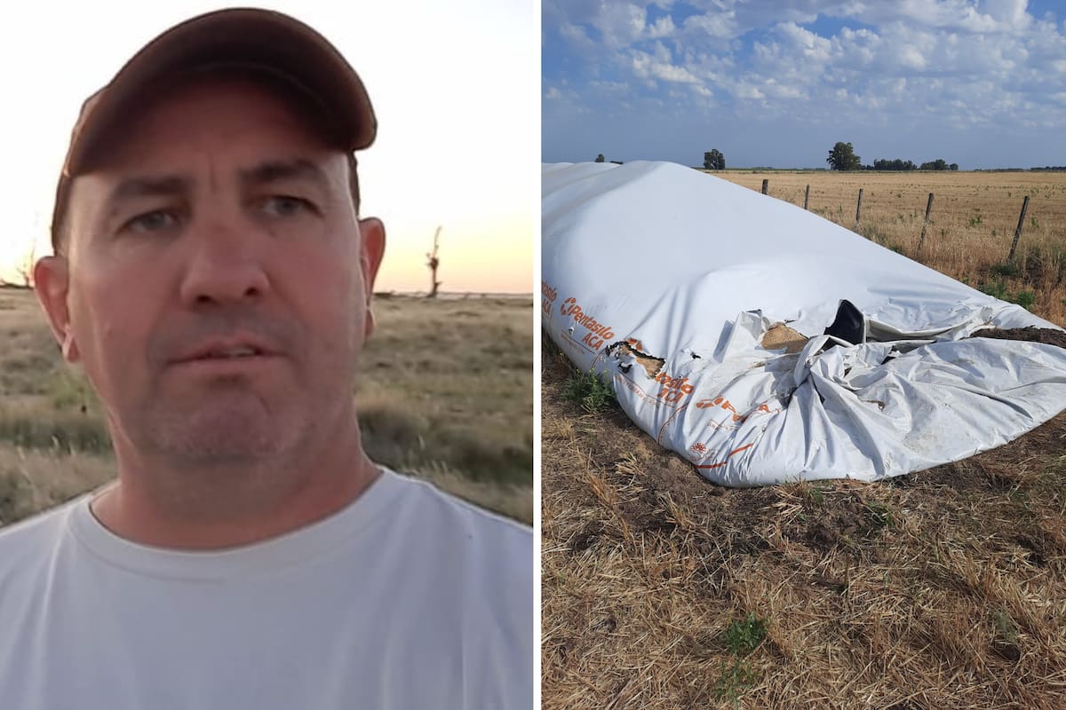 Diego Rodríguez, productor agropecuario de Carhué, Buenos Aires, se encontró ayer con la escena