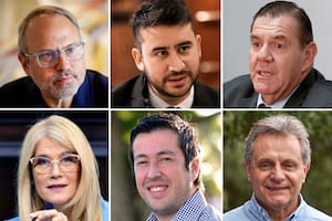 Diego Valenzuela, Nahuel Sotelo, Guillermo Montenegro, Verónica Magario, Leonardo Nardini y Gustavo Pulti, algunos de los nombres en danza