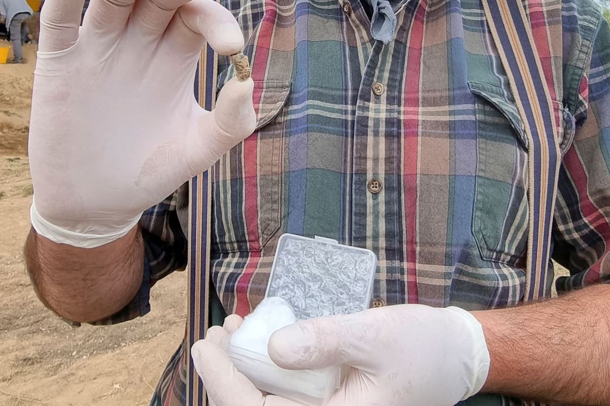 Diente mandibular premolar de un Homo erectus primitivo hallado en Georgia