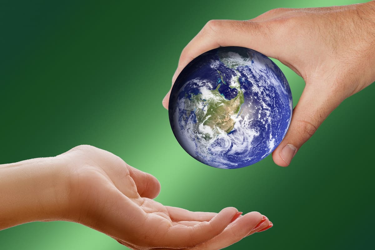 Dieta de la salud planetaria: en Harvard afirman que cambiar la forma en que comemos puede mejorar nuestro bienestar y al mismo tiempo frenar el proceso de cambio climático