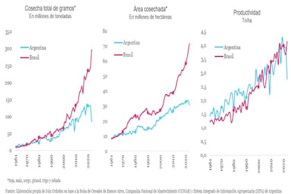 Diferencias entre el agro brasileño y el argentino