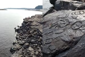 Diferentes rostros tallados fueron hallados en el lecho del río Negro en Brasil