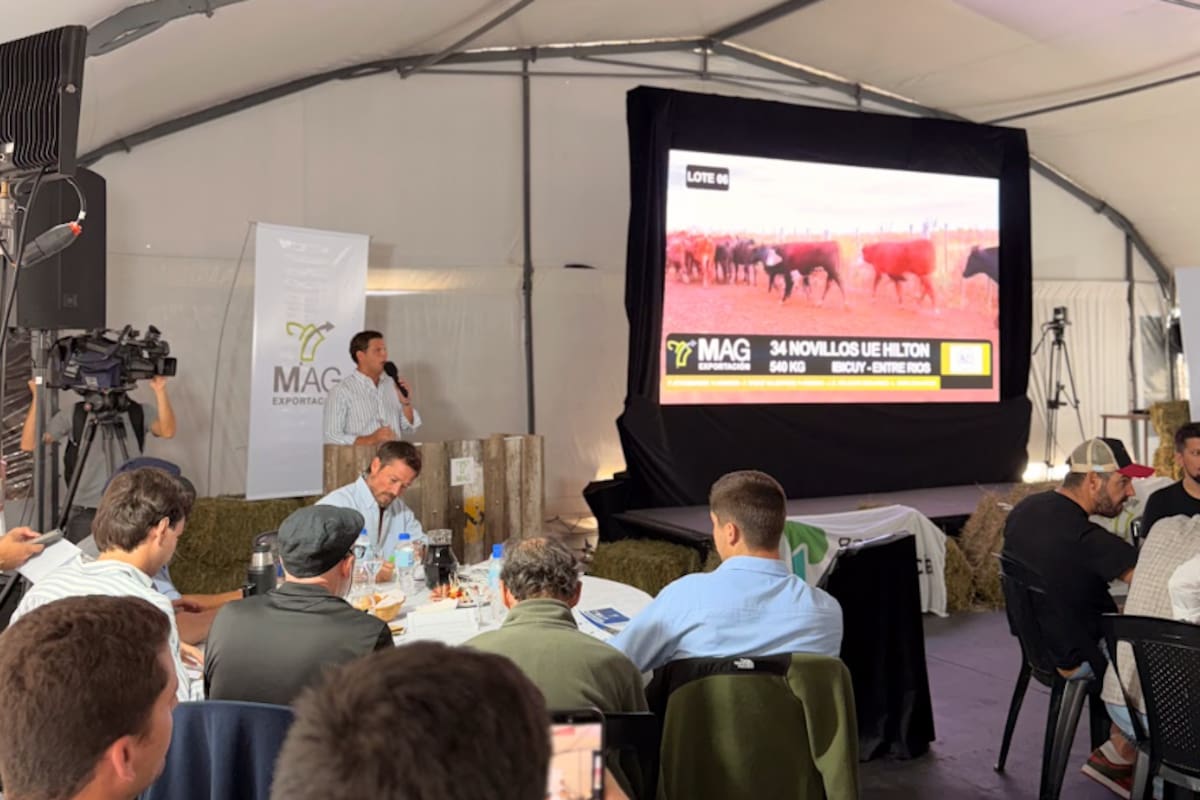 Dijeron que la apuesta es afianzar una frecuencia mensual que permita ordenar la operatoria y fortalecer este canal