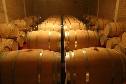 Dijo que las marcas adquiridas son reconocidas por expresar “la identidad y el carácter distintivo del terroir salteño”