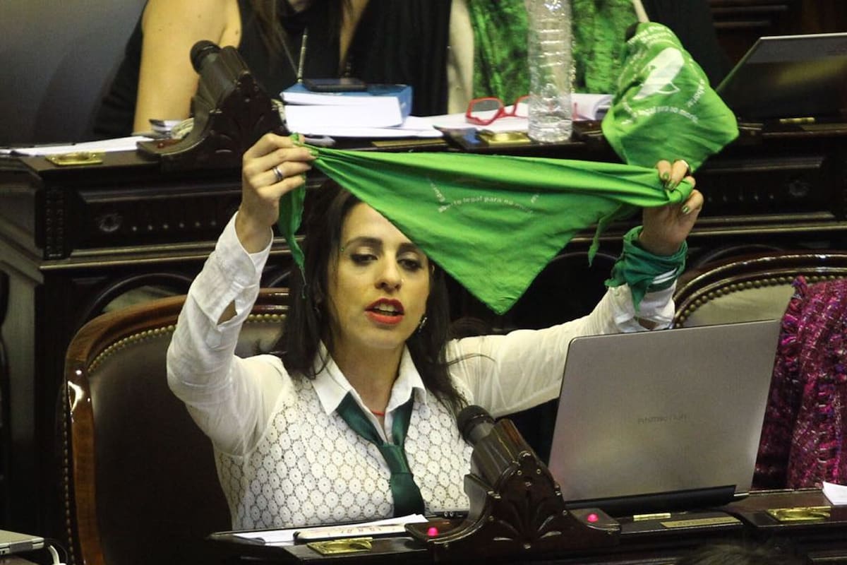 Diputada Victoria Donda