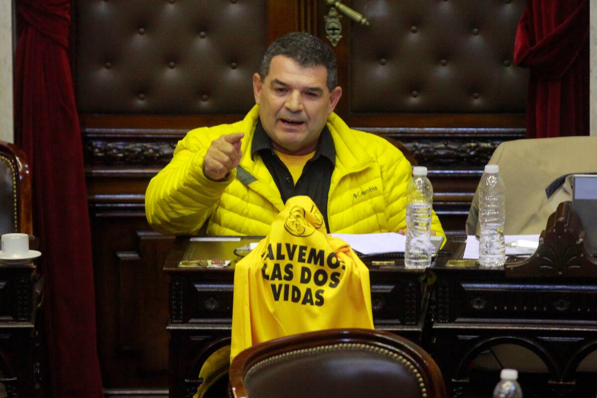 Diputado Alfredo Olmedo