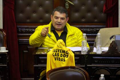 Diputado Alfredo Olmedo