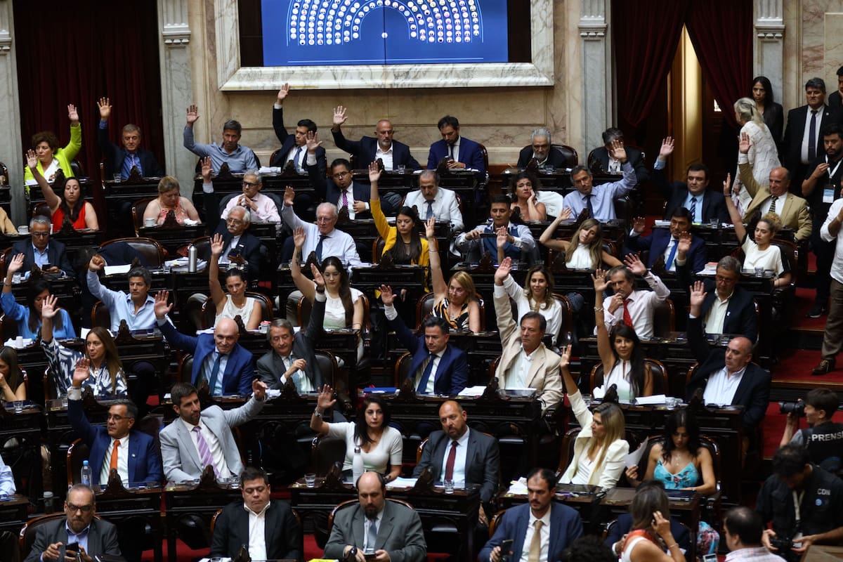 Diputados aprobó la ley ómnibus el viernes 2 de febrero