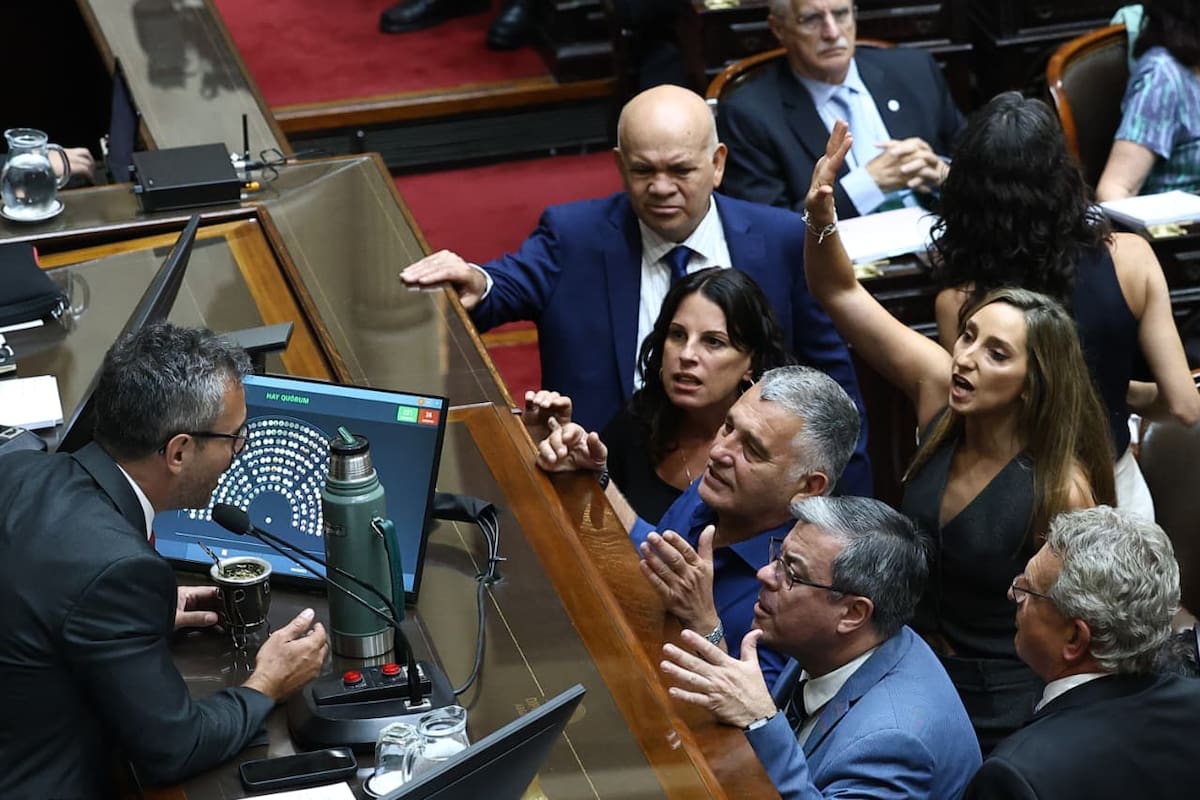 Diputados kirchneristas, enfrentados con el presidente del cuerpo, Martín Menem