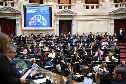 Diputados le dio media sanción al Súper RIGI a mediados de junio